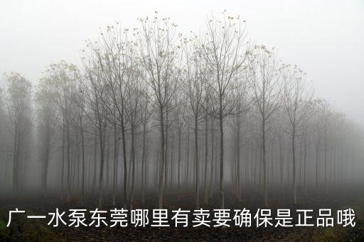 廣一水泵東莞哪里有賣要確保是正品哦