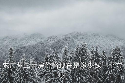 廣州公園九里二手房價，廣州二手房子要多少錢