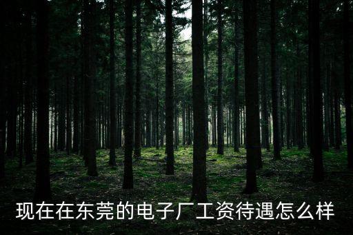 現在在東莞的電子廠工資待遇怎么樣