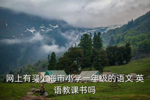 上海市小學一年級英語上冊，網(wǎng)上有買上海市小學一年級的語文 英語教課書嗎