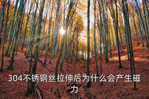 304不銹鋼絲拉伸后為什么會產生磁力