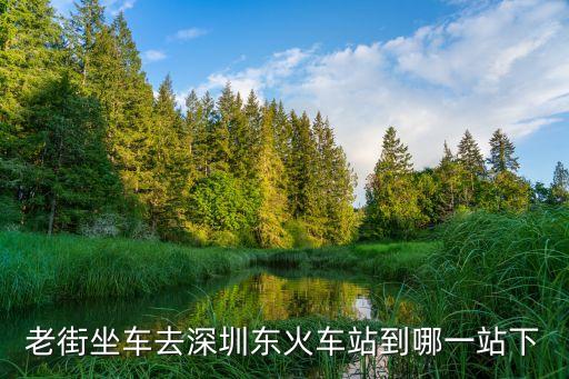 老街站到深圳東站，老街坐車去深圳東火車站到哪一站下