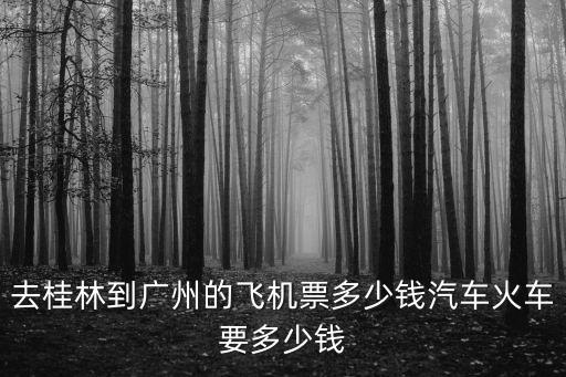 去桂林到廣州的飛機票多少錢汽車火車要多少錢