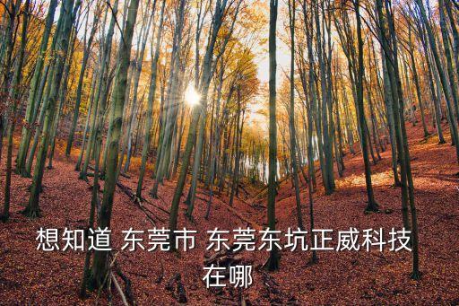 東莞東坑華仁廣場(chǎng)，東莞東坑廣場(chǎng)叫什么名字