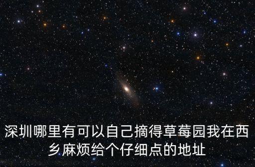 深圳有摘樹莓的地方嗎，深圳哪里有摘草莓的地方