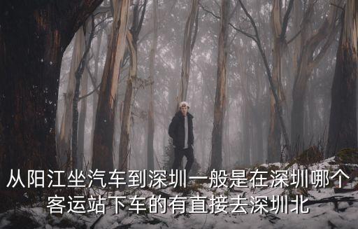 陽江汽車站到深圳銀湖，從陽江坐汽車到深圳一般是在深圳哪個客運(yùn)站下車的有直接去深圳北