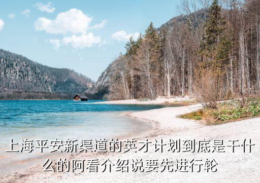 上海平安新渠道的英才計劃到底是干什么的阿看介紹說要先進行輪