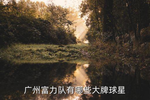 廣州富力后衛名單，廣州富力的新內援是誰