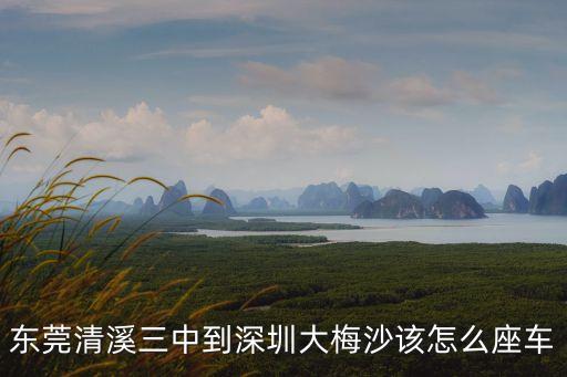 東莞清溪三中到深圳大梅沙該怎么座車