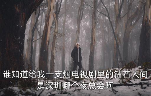 深圳沙井紅寶石夜總會，誰知道給我一支煙電視劇里的鉆石人間是深圳哪個夜總會阿