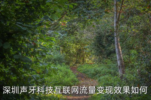 深圳聲牙科技互聯網流量變現效果如何