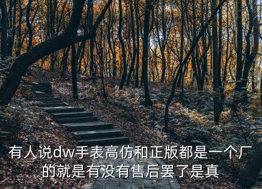有人說dw手表高仿和正版都是一個廠的就是有沒有售后罷了是真