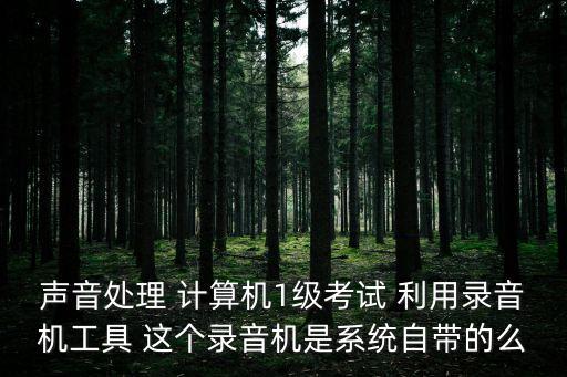 上海市計算機一級聲音處理，上海計算機一級
