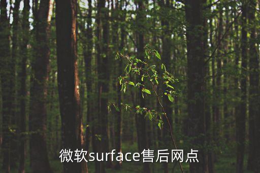 微軟深圳檢測，微軟售后維修服務點深圳哪里有