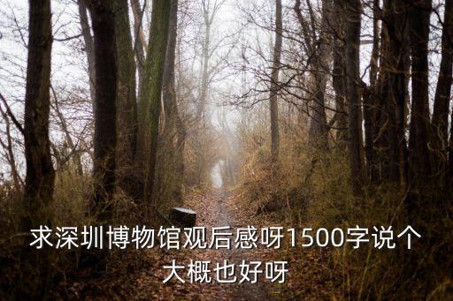 深圳博物館小論文三百字，深圳市大鵬博物館照片的觀后感