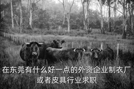 在東莞有什么好一點的外資企業制衣廠或者皮具行業求職