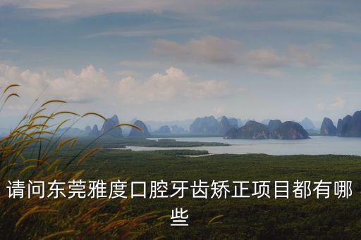 請問東莞雅度口腔牙齒矯正項目都有哪些