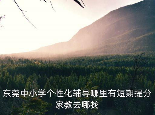 東莞小學補課在哪里，東莞有哪些正規的小學生補習機構高三物理輔導班電 話
