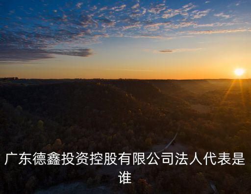 廣東德鑫投資控股有限公司法人代表是誰