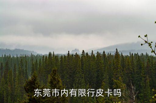 廣東東莞允許皮卡車進入嗎，皮卡能否入東莞城區(qū)