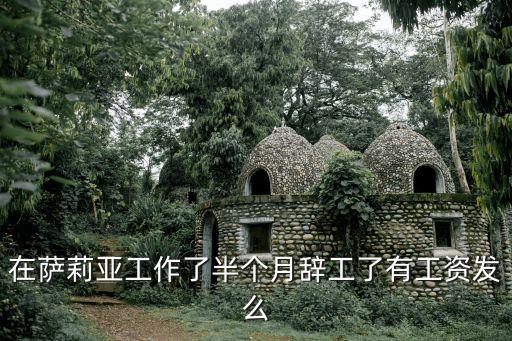 廣州薩莉亞工資怎么樣，我在薩莉亞里面兼職半個月下來了太累了就不想干了他會給我錢
