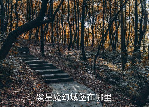 紫星魔幻城堡在哪里