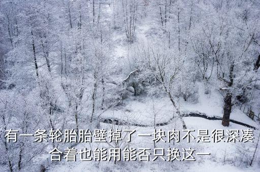 廣州花都固特異輪胎店，請問花都哪里有用得的舊輪胎賣
