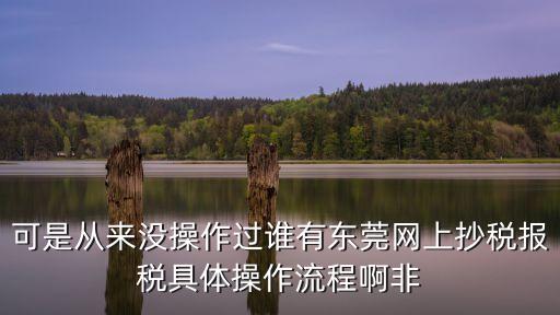 可是從來沒操作過誰有東莞網上抄稅報稅具體操作流程啊非