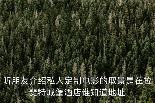 聽朋友介紹私人定制電影的取景是在拉斐特城堡酒店誰知道地址