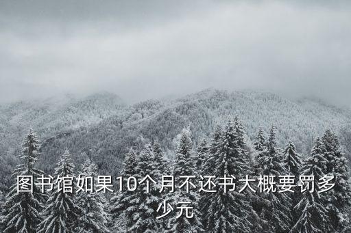 圖書館如果10個月不還書大概要罰多少元