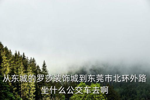 從東城的羅莎裝飾城到東莞市北環外路坐什么公交車去啊