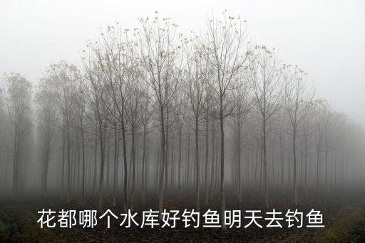 花都哪個水庫好釣魚明天去釣魚