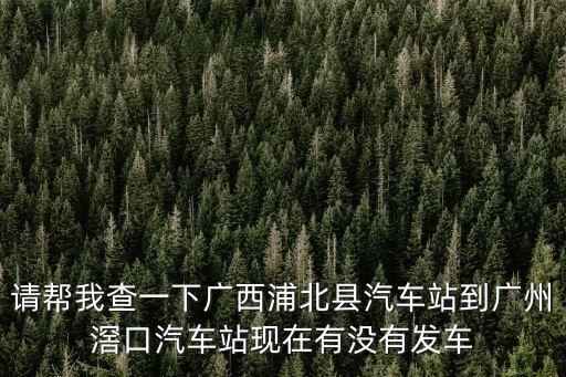 請幫我查一下廣西浦北縣汽車站到廣州滘口汽車站現在有沒有發車