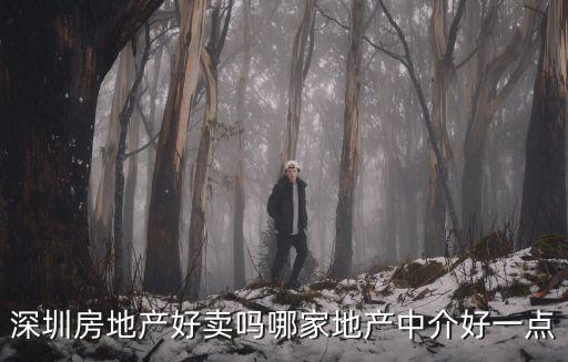 深圳眾夏地產顧問，置業顧問有限公司是干嘛的