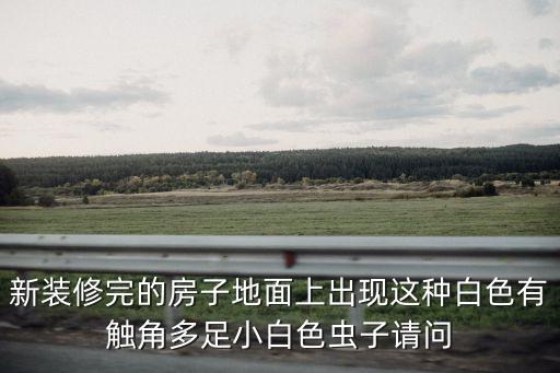 深圳灣的白色蟲子，一種白色的 小蟲子