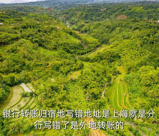 銀行轉賬上海市的地址怎么填，電匯的地址是上海怎樣在電匯單上寫省份