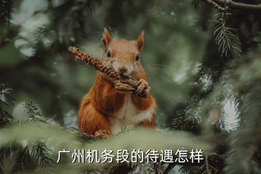 廣州機務段待遇，廣州機務段一線工人的工資拿到手大概能拿多少錢