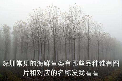 深圳五月初釣什么海魚，深圳常見的海鮮魚類有哪些品種誰有圖片和對(duì)應(yīng)的名稱發(fā)我看看