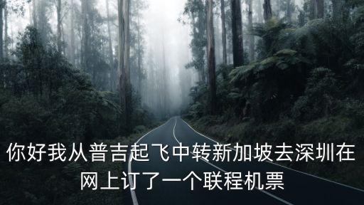 你好我從普吉起飛中轉(zhuǎn)新加坡去深圳在網(wǎng)上訂了一個(gè)聯(lián)程機(jī)票