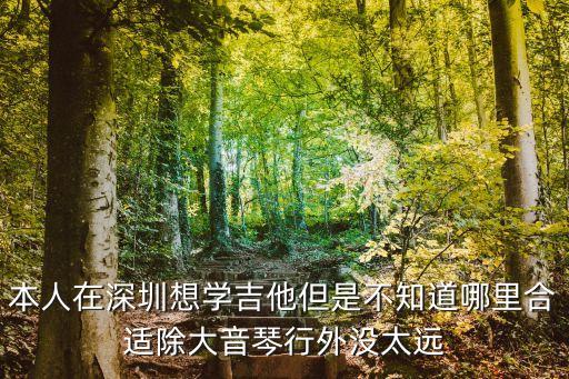 深圳藝校雅樂琴行，深圳找吉他老師