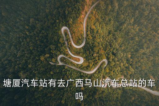 塘廈汽車站有去廣西馬山汽車總站的車嗎