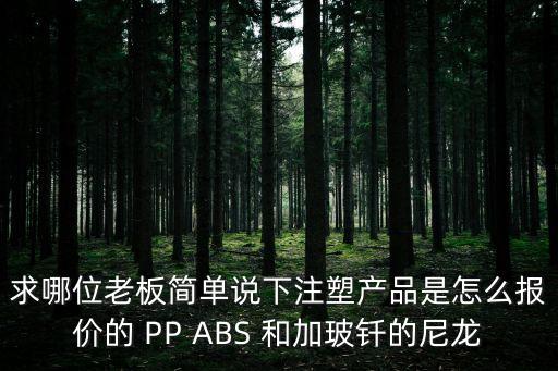 求哪位老板簡單說下注塑產品是怎么報價的 PP ABS 和加玻釬的尼龍