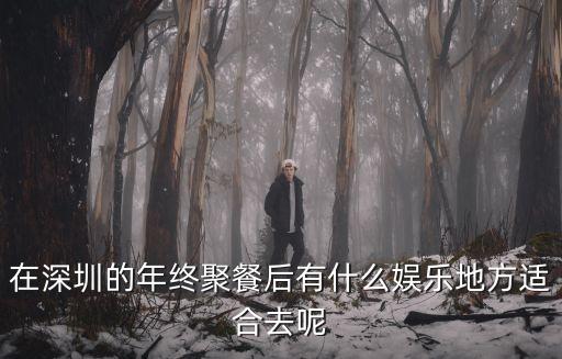 在深圳的年終聚餐后有什么娛樂(lè)地方適合去呢