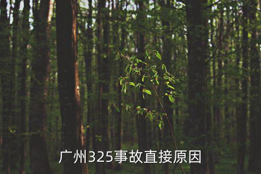 廣州325事故直接原因