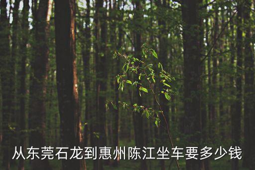 東莞石龍到陳江多少公里，從石龍車站到陳江要多少錢