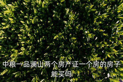 中糧一品瀾山兩個房產(chǎn)證一個房的房子能買嗎