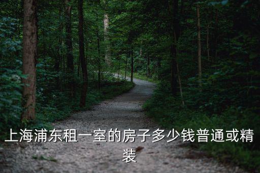 上海市浦東新區凌橋鎮租房價，上海浦東房租大概好多一月