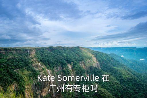 Kate Somerville 在廣州有專柜嗎