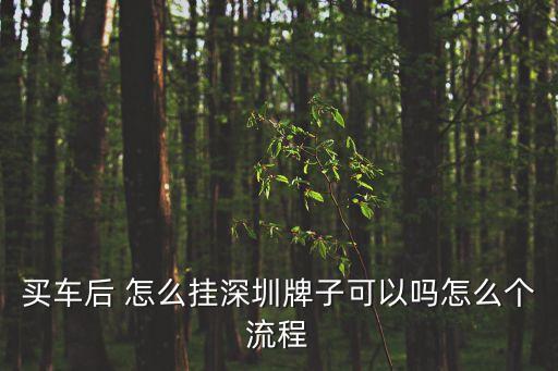 新車上深圳車牌號嗎，請問在上海買車能上深圳的車牌嗎