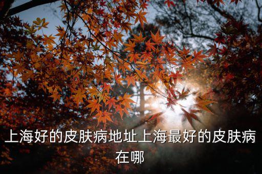 上海好的皮膚病地址上海最好的皮膚病在哪